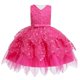 thumbnail image 1 of Vestido de princesa de encaje de verano para niñas, vestido de baile Floral con flores para niñas, ropa para niñas, disfraces de tutú para fiesta de 1er cumpleaños, 3T (etiqueta 100) Gao Jinjia LED, 1 of 2