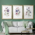 thumbnail image 5 of Color Variety I Premium Framed Prints Set of 3 - Ready to Hang - 30.5 x 42.5 Each - Gold Frame, 5 of 9