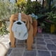 thumbnail image 5 of Maceta bonita para plantas con forma de perro, maceta con flores animales para decoraciones de jardín, producto en oferta, 5 of 5