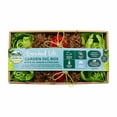 thumbnail image 1 of Oxbow Enriched Life Garden Dig Box Toy, 1 of 3