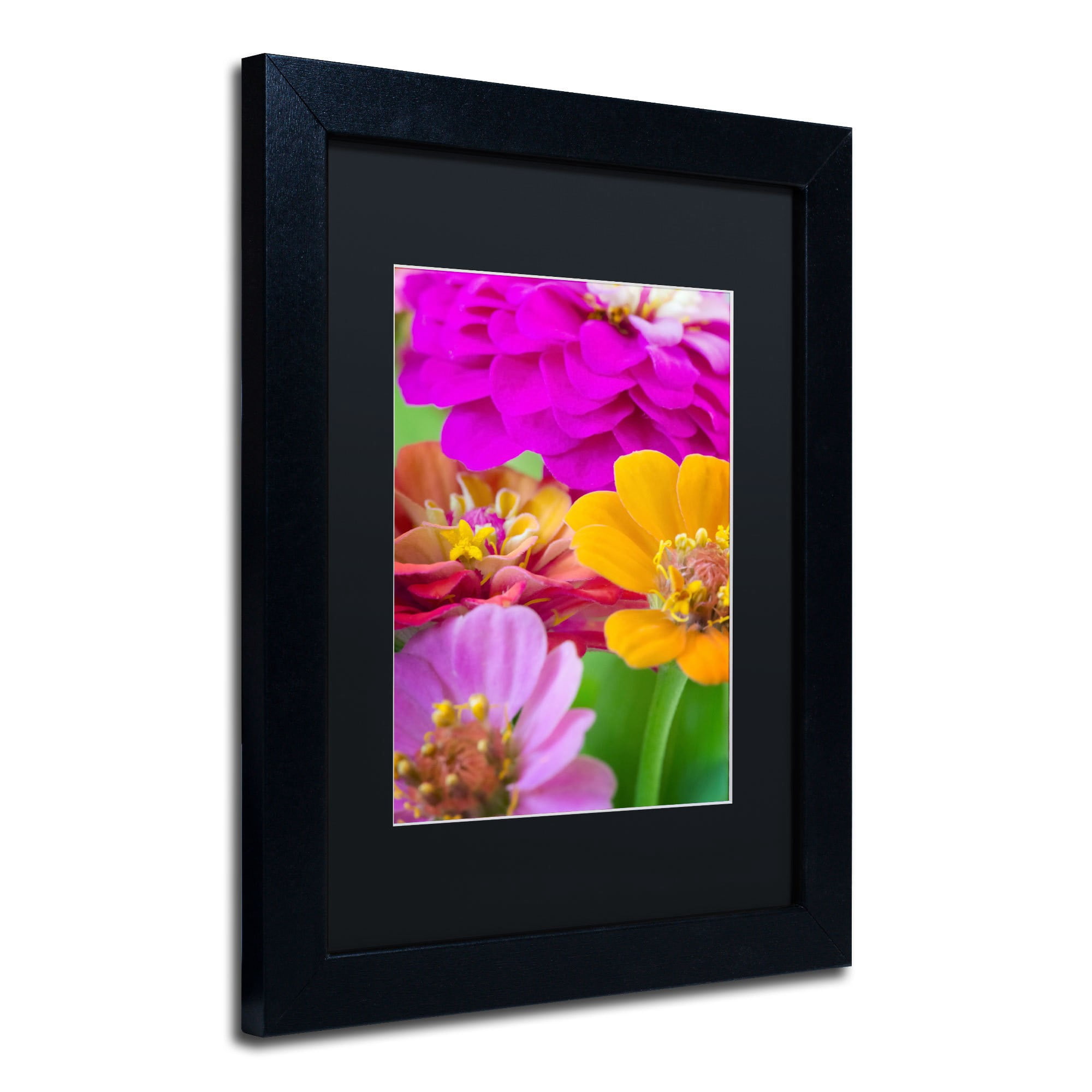 Trademark Fine Art "Bouquet of Inias" Canvas Art by Philippe Sainte-Laudy, Black Matte, Black Frame