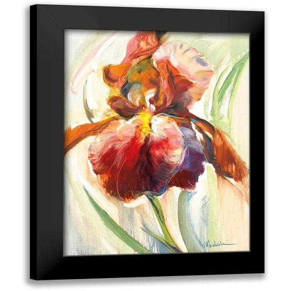 Zielinska, Maria 12x14 Black Modern Framed Museum Art Print Titled - Colors of Iris II