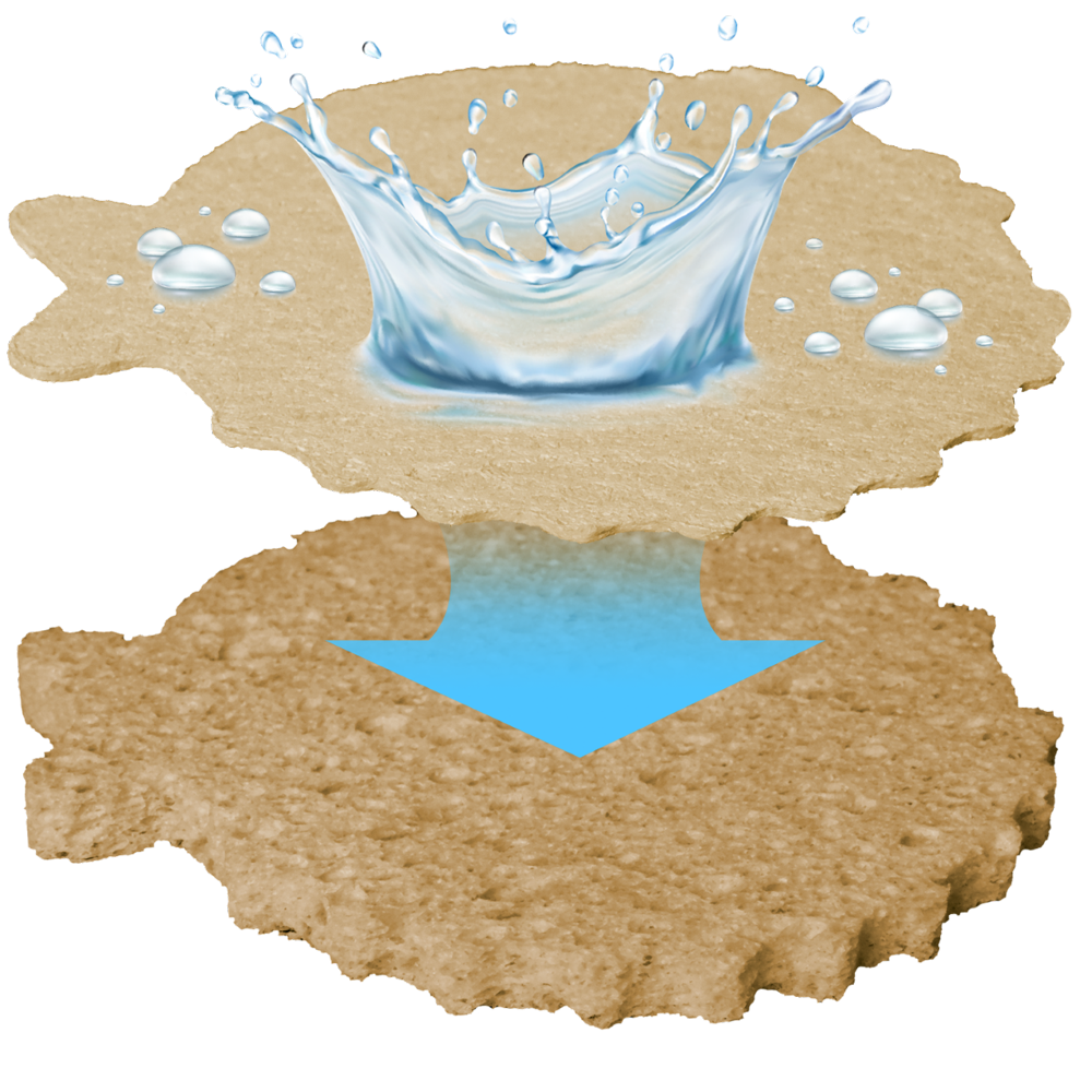 Dispongeables® Disposable Expanding Kitchen Sponges