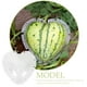 thumbnail image 2 of BRIGHTFUFU Moldura de sandía Molde en forma de moho en forma de corazón molde de fruta formando molde, 2 of 8