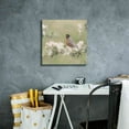 thumbnail image 4 of Epic Graffiti 'Springtime Robin' by Lori Deiter, Canvas Wall Art, 18"x18", 4 of 8