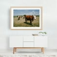 thumbnail image 6 of COWGIRLS - Spearman Texas Photography Rural Farmhouse Nature Rustic Landscape Unframed Wall Art Print 24 x 36 inches, 6 of 7