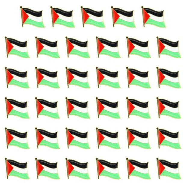 Pin Solapa Palestina Pequeño Metal Con Emblema País para Patriotas