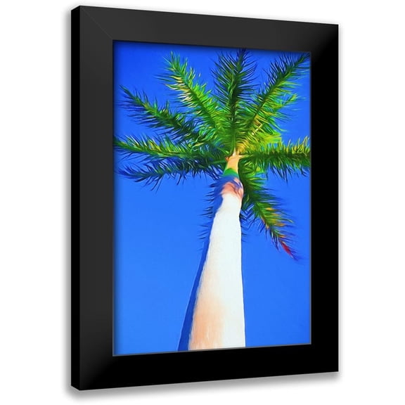 Bradshaw, Melinda 11x14 Black Modern Framed Museum Art Print Titled - Blue Sky Palm I