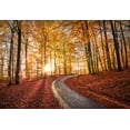 thumbnail image 2 of Lindsten, Christian 18x14 White Modern Wood Framed Museum Art Print Titled - Road In Sapderaysen Nationalpark-Sweden, 2 of 4