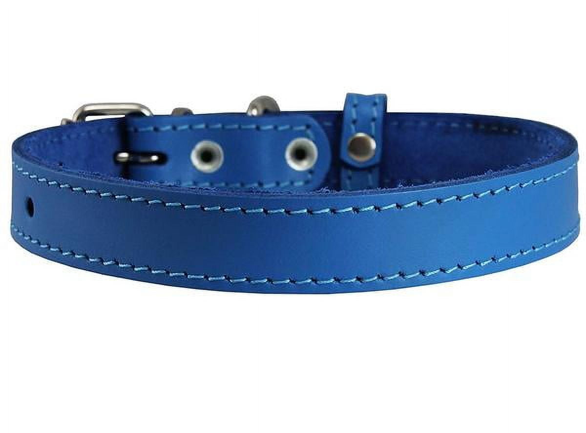  Angel Pet Supplies Genuine Leather Bones Studded Dog Collar by  Angel Pet. 14 X 3/4, for Neck Size 9.5-12 Soft and Durable Padded  Leather, Ocean Blue, Medium, 41275 : Pet