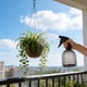 thumbnail image 5 of CaiYueKe Fine Mist Spray Bottle for Plants Cleaning Disinfectant Alcohol Watering Can with Adjustable Nozzle Pressure Sprayer for Home Garden Car Pet Care, 5 of 7