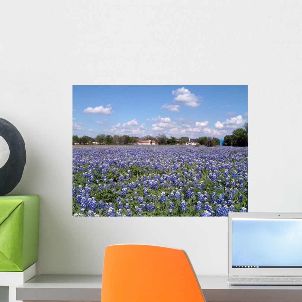 Bluebonnets 02 Wall Mural by Wallmonkeys Peel and Stick Graphic (18 in ...