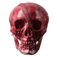 thumbnail image 2 of CNKOO 31” Zombie Rampant Rampant Accessoire d'Halloween Piquet Cimetière Maison Hantée Fête Décoration Intérieure Extérieure, 2 of 4