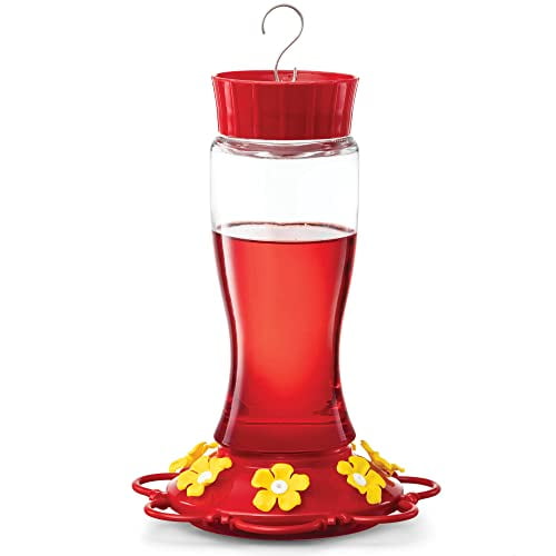 Hummingbird Feeder 30 oz. Glass Hummingbird Feeders for Outdoors with