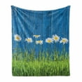 thumbnail image 1 of Flower Soft Flannel Fleece Throw Blanket, Fresh Springtime Grass and Daisy on Fence Summer Simple Vintage Style Print, Cozy Plush for Indoor and Outdoor Use, 60" x 80", Blue Green White, by Ambesonne, 1 of 6