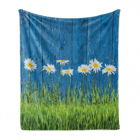 Flower Soft Flannel Fleece Throw Blanket, Fresh Springtime Grass and Daisy on Fence Summer Simple Vintage Style Print, Cozy Plush for Indoor and Outdoor Use, 60" x 80", Blue Green White, by Ambesonne