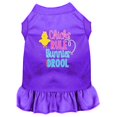 thumbnail image 1 of Chicks Rule Screen Print Dog Dress Purple Lg (14), 1 of 1