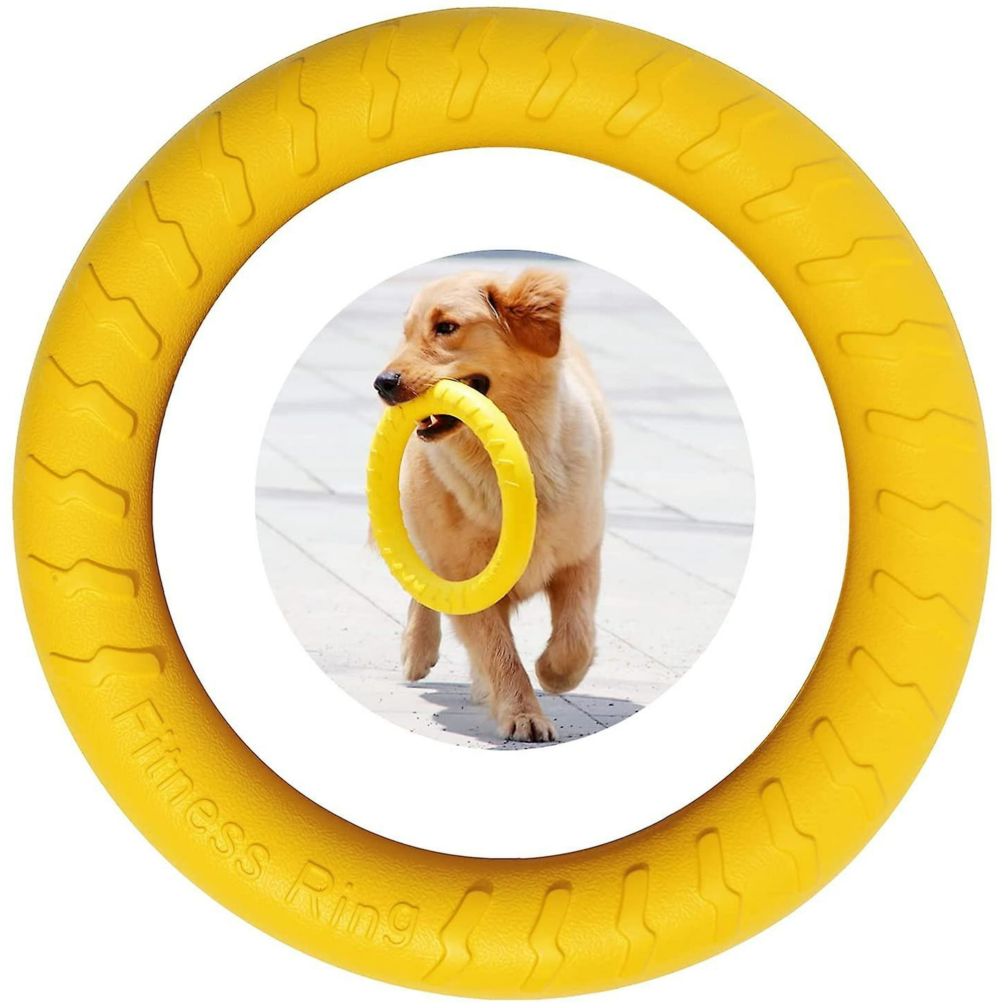 How Big Is A Dog Agility Ring how-big-is-a-dog-agility-ring
