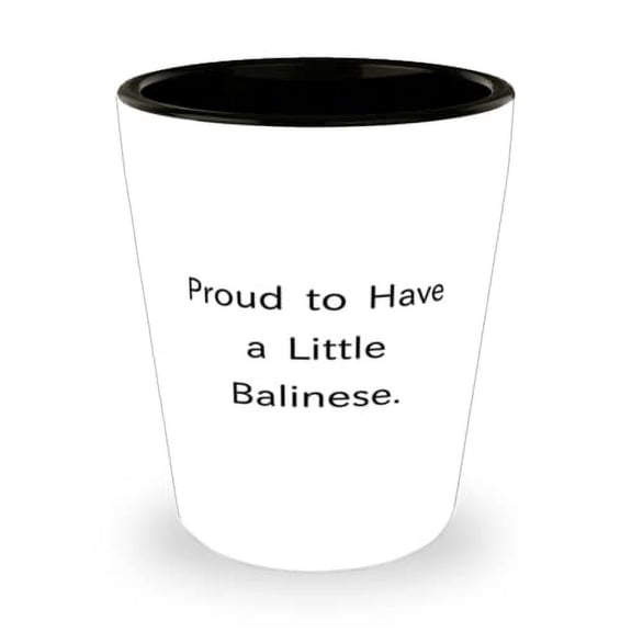 Balinese Cat For Cat Lovers, Proud to Have a Little Balinese, Fancy Balinese Cat Shot Glass, Ceramic Cup From Friends