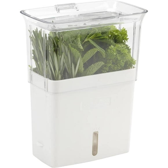 Contenedor para hierbas Fresco Contenedor de acrílico para refrigerador Contenedor para hierbas y verduras Contenedor con indicador de nivel de agua