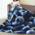 thumbnail image 6 of Zufioo Blueberry Fleece Blanket Queen Size,Plush Bed Blanket,Ultra Soft Throw Blanket,Plush Fuzzy Cozy Blanket Perfect for Bed,Couch-40"x30", 6 of 7