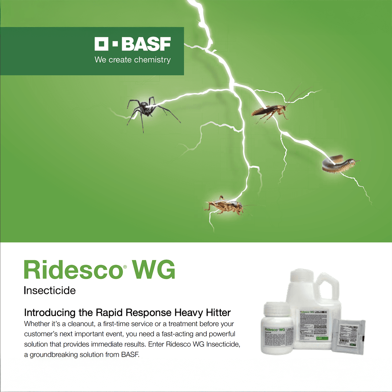 Ridesco WG Insecticide - 950g Bottle by BASF