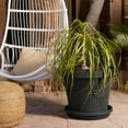 thumbnail image 2 of Bloem Terra Pot Round Planter: 20" - Black, (Saucer Not Included) Durable Resin Pot, for Indoor and Outdoor Use, 13.5 Gallon Capacity, 2 of 6