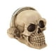 Home Decor Figurine de Crâne de Casque Rockin – image 2 sur 2