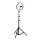thumbnail image 1 of Aro de luz led Gadgets and Fun  diametro de 26 cm con tripie de 2 metros y soporte para smartphone, 1 of 2