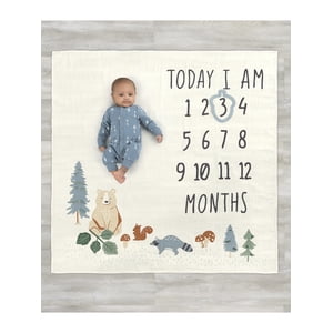Modern Moments by Gerber Baby Boy Milestone Blanket & Frame