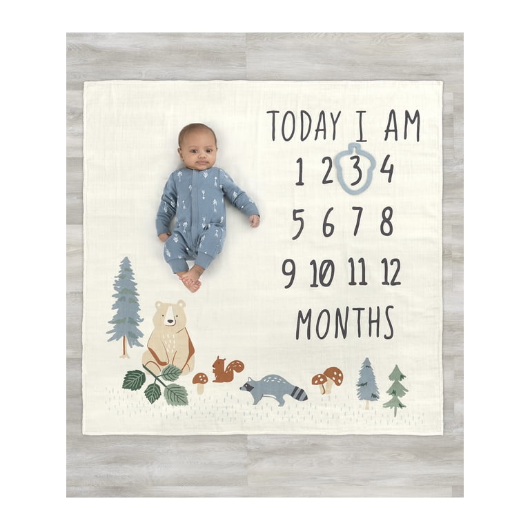 Modern Moments by Gerber Baby Boy Milestone Blanket & Frame photo 1