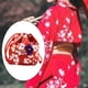 thumbnail image 4 of Bolso con cordón japonés portátil para mujeres, niñas, fiesta de boda, kimono, monedero cosmético, , bolsa de almuerzo escolar para oficina, rojo Baoblaze Bolsa japonesa con cordón, 4 of 7