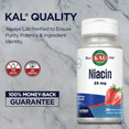 thumbnail image 5 of KAL Niacin 25 mg ActivMelt | Strawberry | One Daily | Healthy Metabolism, Skin, Nerve Support & More | 200 Micro Tablets, 5 of 8