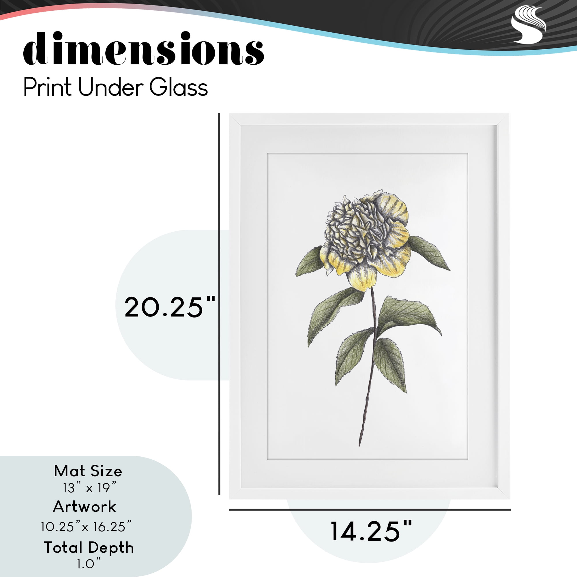 Camellia Flower Illustration White Framed Print Under Glass, design by Cecilia Battaini
