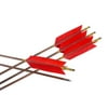 CUPID 31 inch Bamboo Arrows Target Arrows with 4 5.8" Turkey Feather for Outdoor Recurve Bow and longbows 6pcs(red)