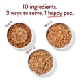 thumbnail image 4 of (Pack Of 8) Portland Pet Food Company Dog Food Salmon And Rice 9 Oz, 4 of 7