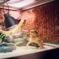 thumbnail image 2 of 6 Pcs Reptile Lamp Hanger Clips Climbing Pets Light Metal Fixing Clips, 2 of 5