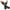 Black, variant on Audhol Long Fingerless Gloves Ladies Girls Neon Long Fingerless Fishnet Lace High Elasticity Gloves Warm Gloves for Women Black One Size