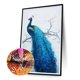thumbnail image 1 of Cuadros Decorativos Pavo Real en la rama 5D DIY Kits de pintura de Wdftyju  diamantes decoración de pared de taladro cuadrado completo, 1 of 8