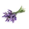thumbnail image 3 of Hydrosol OPO Lavender Water 3,8 L - Tónico facial calmante, 3 of 8