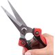 thumbnail image 3 of Tijeras de Acero inoxidable NQ afiladas para recolectar frutas rojo, 3 of 4