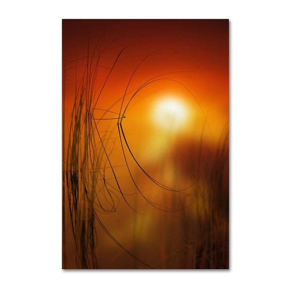 Trademark Fine Art "Nature Time Machine" Canvas Art by Philippe Sainte-Laudy