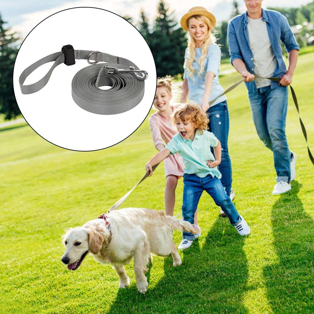 dog tracking leash