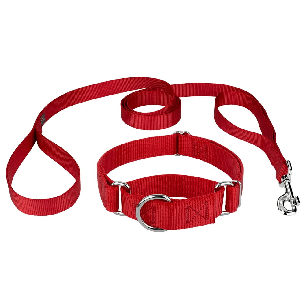 Country Brook Design® Martingale Nylon Dog Collar and Double Handle