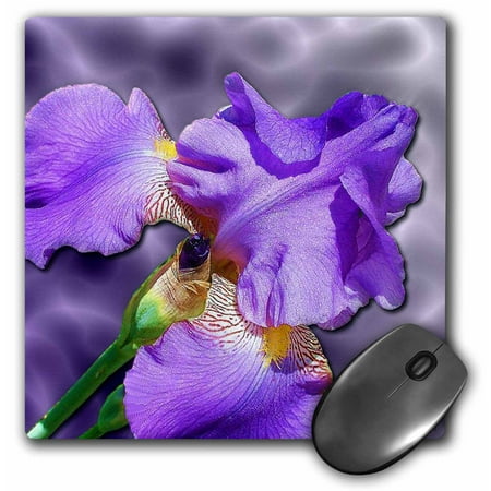 3dRose Blessed Iris, Mouse Pad, 8 by 8 inches - Walmart.com