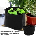 thumbnail image 3 of FUTUREORYY 2Pcs Vegetable Planting Bags 15 Gallon Black Nonwoven Fabric Grow Bags for Healthy Roots, 3 of 8