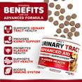 Dog UTI Treatment YPF5 170 Treats Cranberry Supplement for Bladder