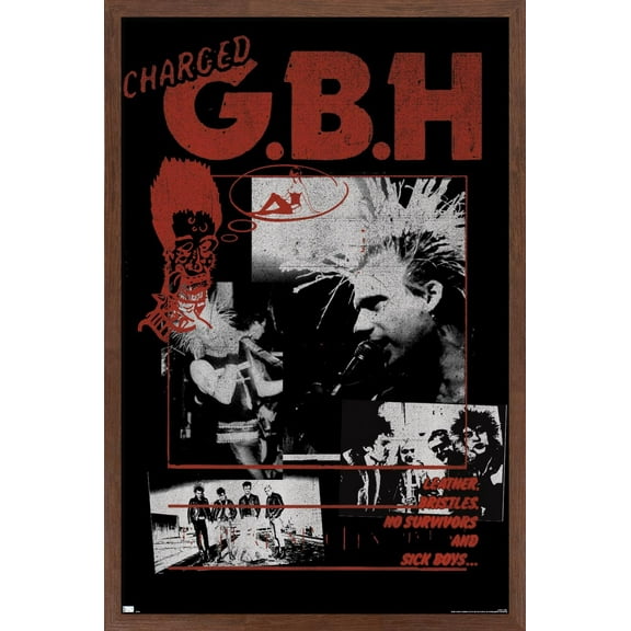 GBH - Montage Wall Poster, 22.375" x 34", Framed