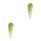 thumbnail image 2 of Cateissary Fondo de pared artificial Flores colgantes Planta Vid falsa Cumpleaños Balcón Decoración Regalos de inauguración Suministro para oficina Type1 NO1 Cateissary CBP487886, 2 of 6