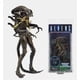 thumbnail image 4 of NECA Alien Wave 12 Alien batalla dañado tiro en la cabeza alienígena camuflaje mujer soldado figura móvil modelo, 4 of 5